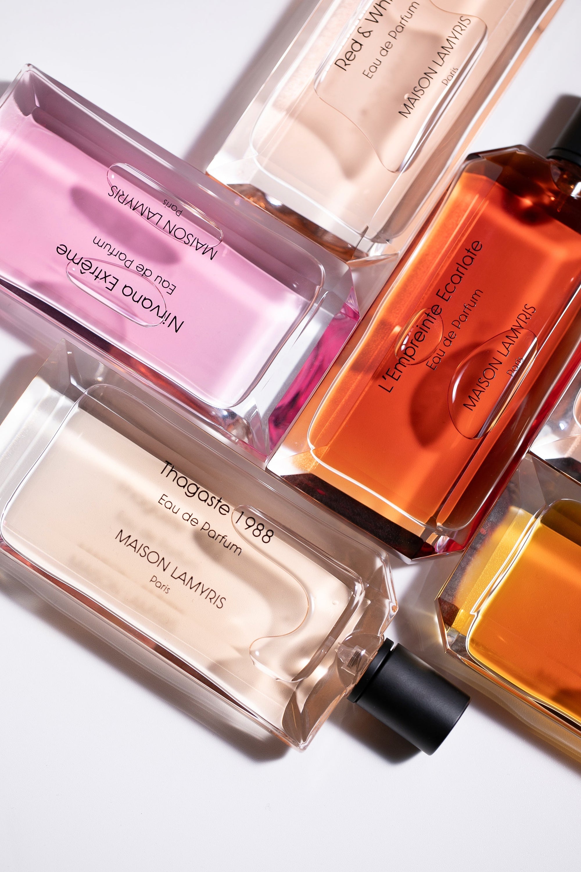 MANIFESTE - Luminous Scents