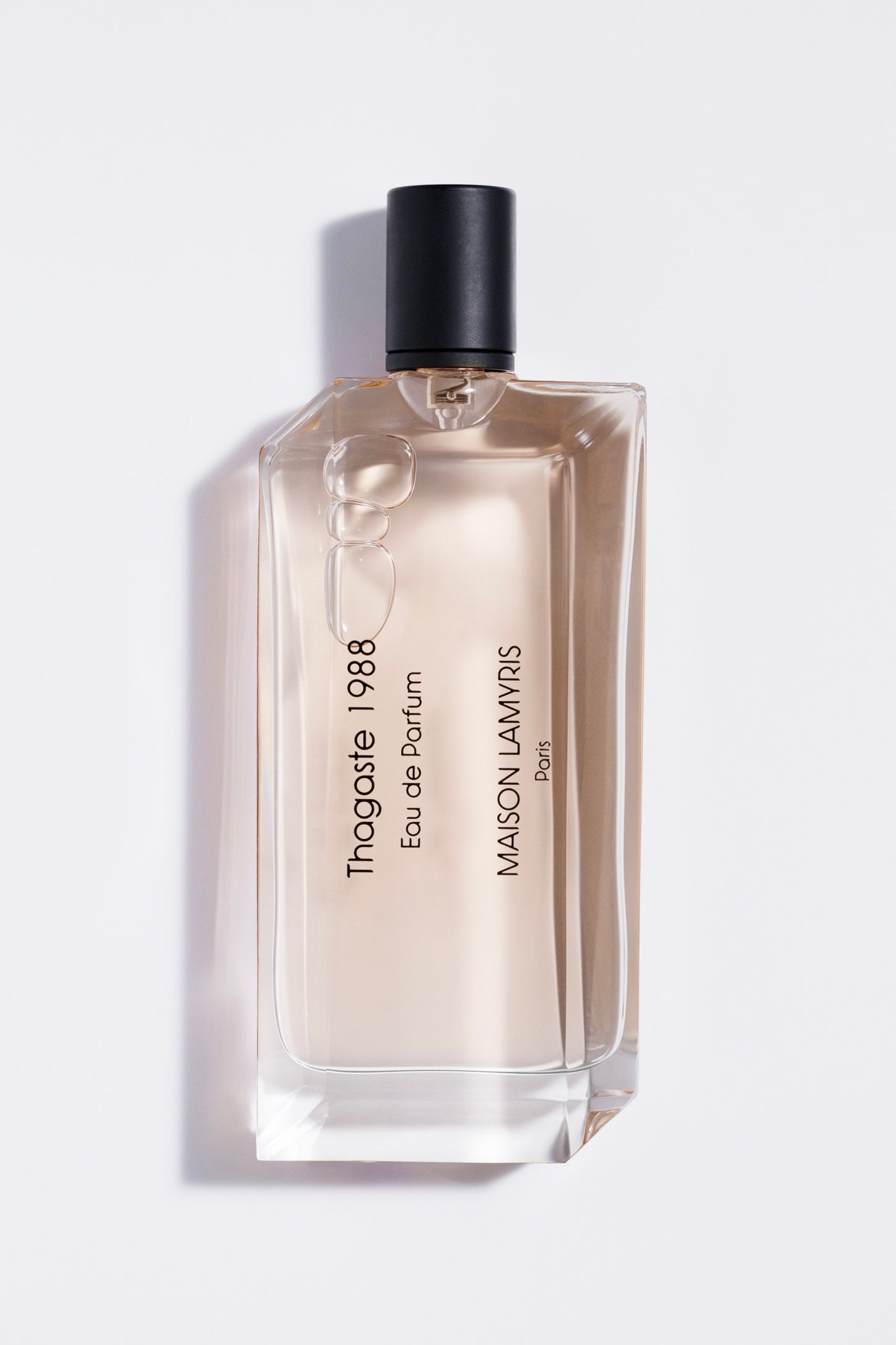 Thagaste 1988 - Eau de Parfum