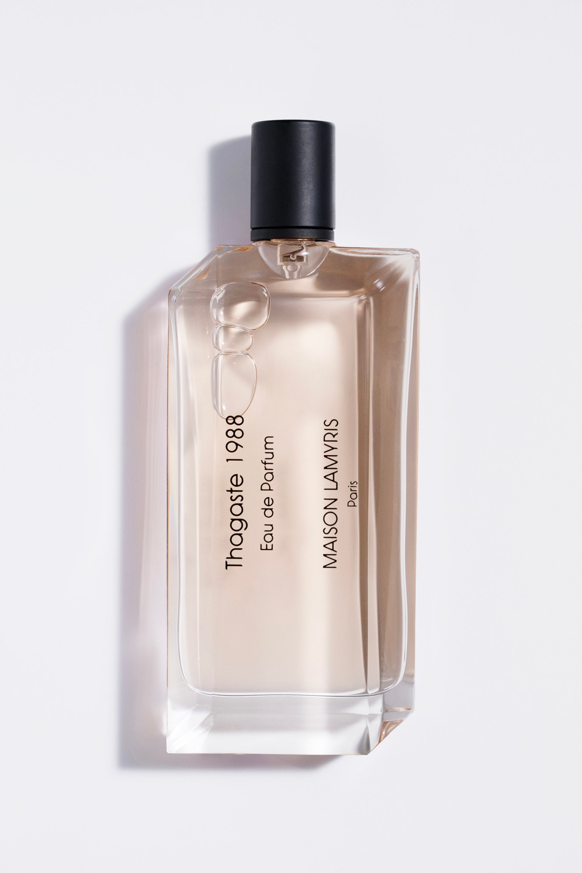 THAGASTE 1988 - Eau de Parfum