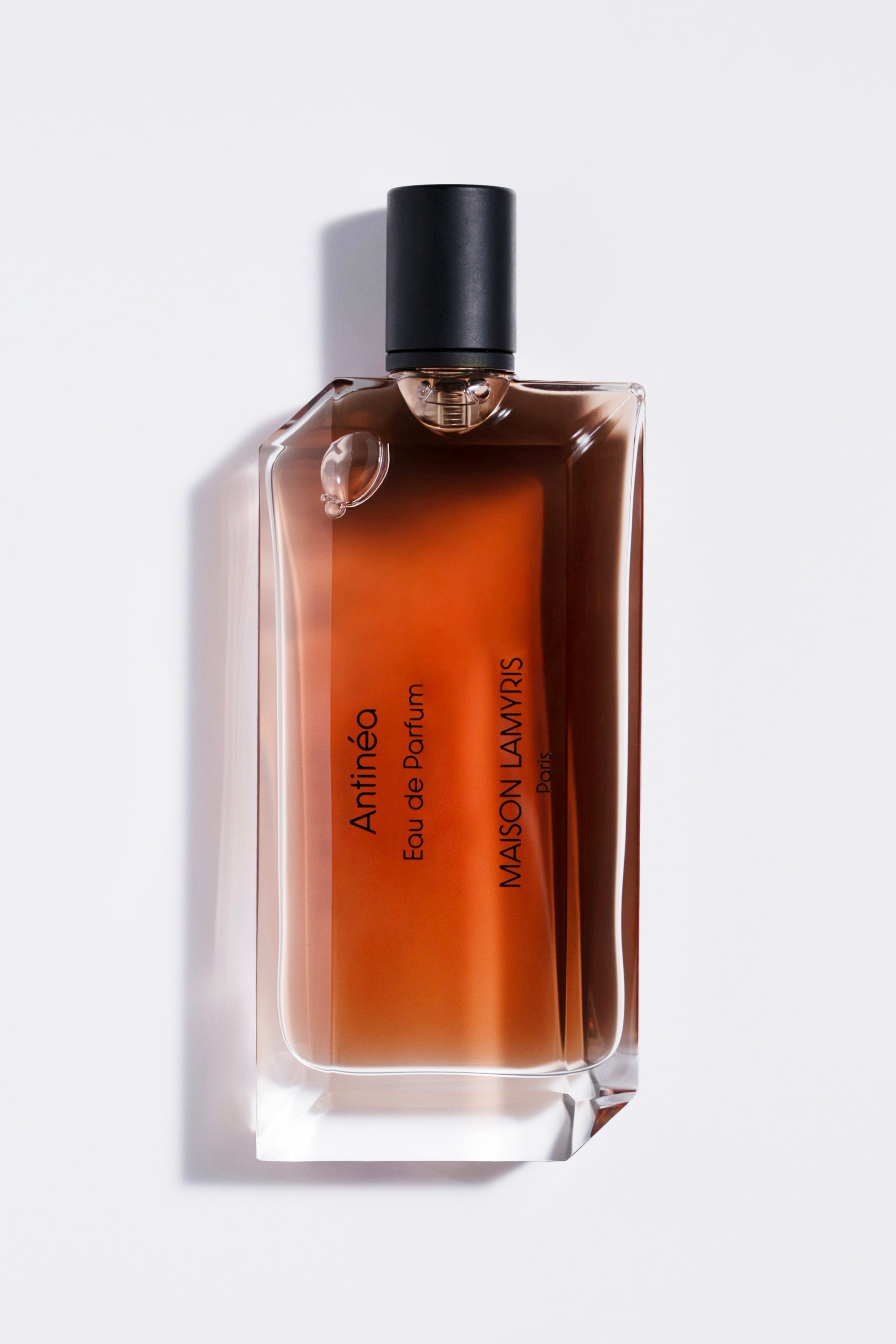 ANTINEA - Eau de Parfum